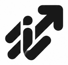 Intoxese logo